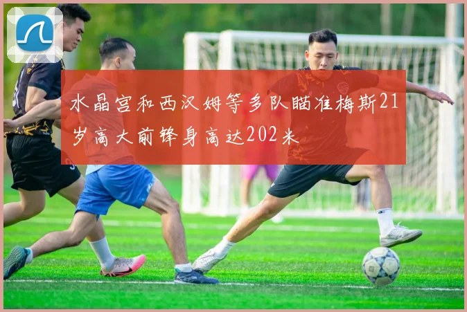 水晶宫和西汉姆等多队瞄准梅斯21岁高大前锋身高达202米